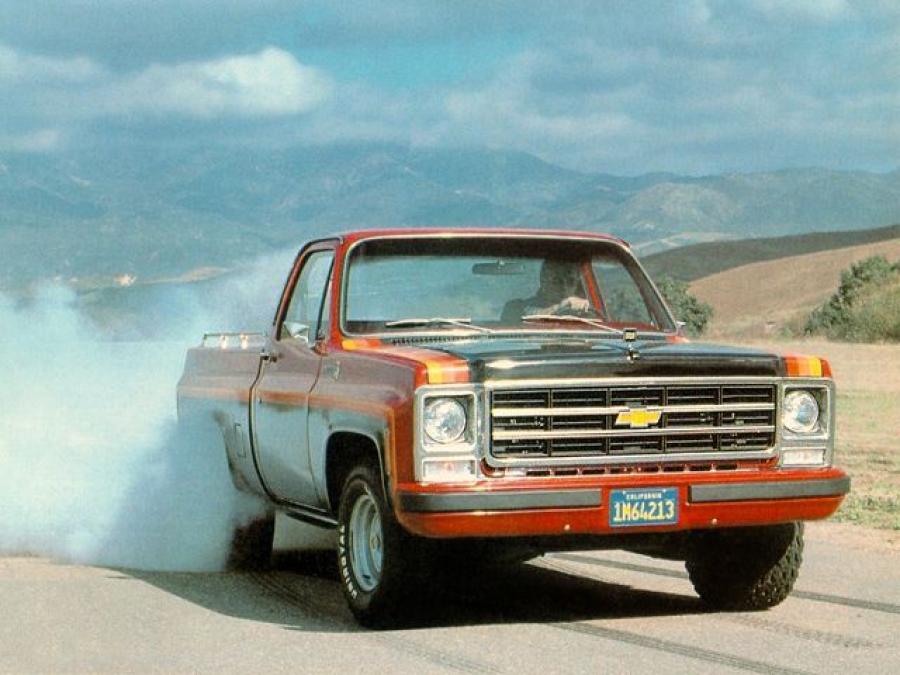 Chevrolet Big 10 1979 года  (фото 3 из 3)